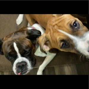 Meet your Posher, Taylor